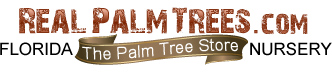 Real Palm Trees Coupon