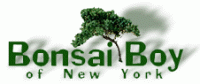 Bonsai Boy COUPON