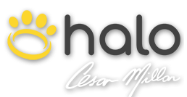 Halo Collar